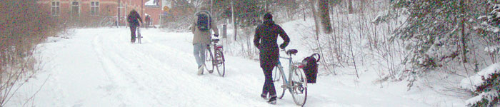 Studenter cyklar året om även när vägen genom snön är kämpig.
