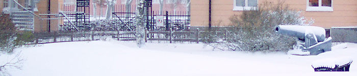 Canon in snow