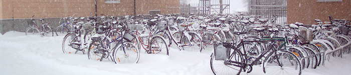 Bicycles in snow