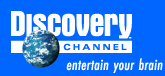 Discovery